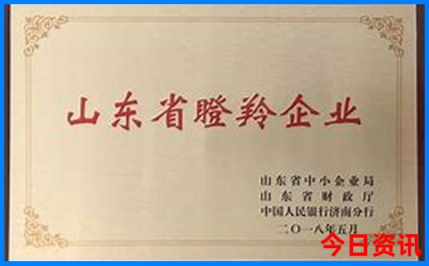 暑假带娃哪里凉快又好玩